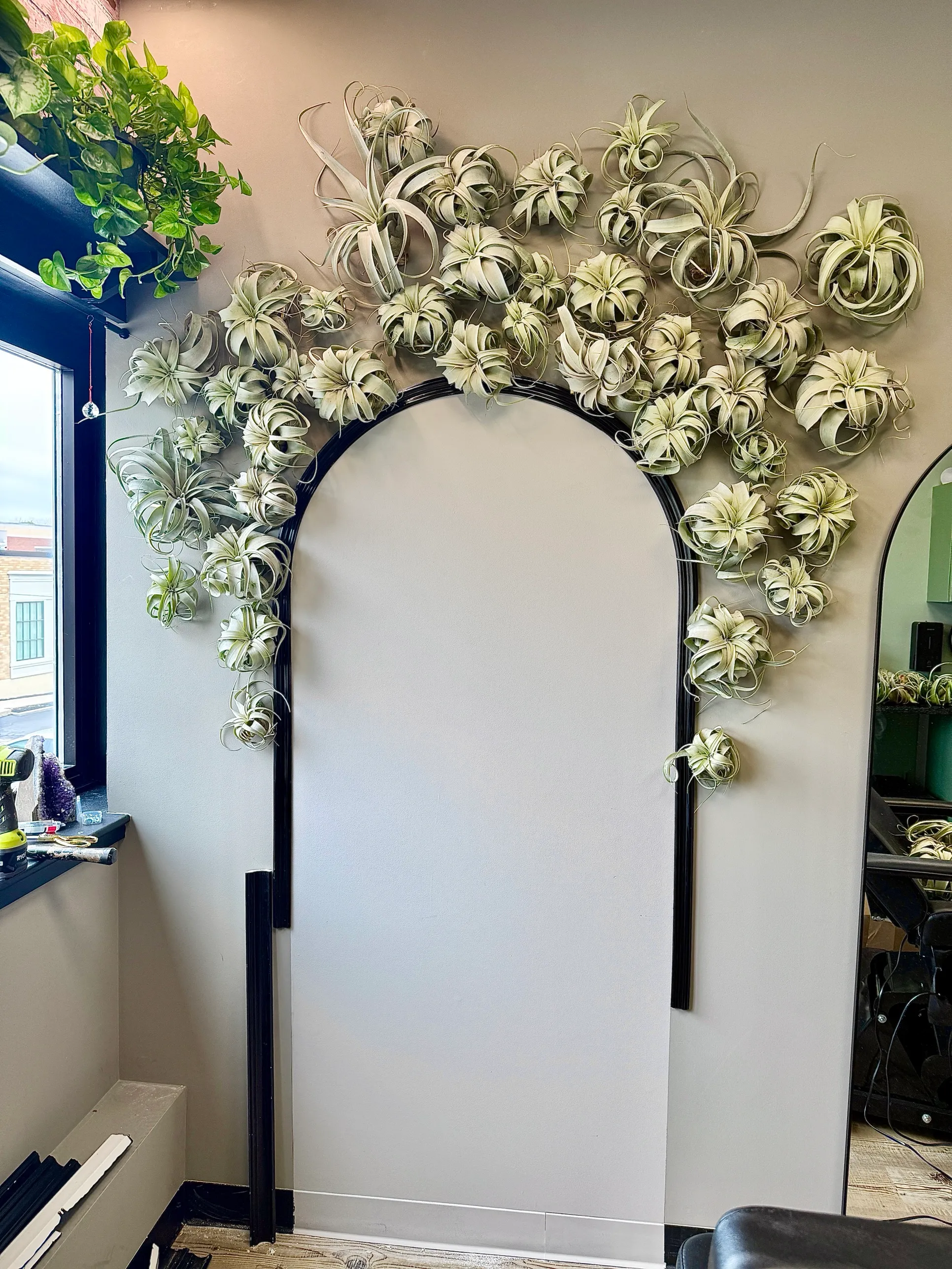 An installation in the DCPC studio — pale air plants cascading over a black arched frame on a grey wall
