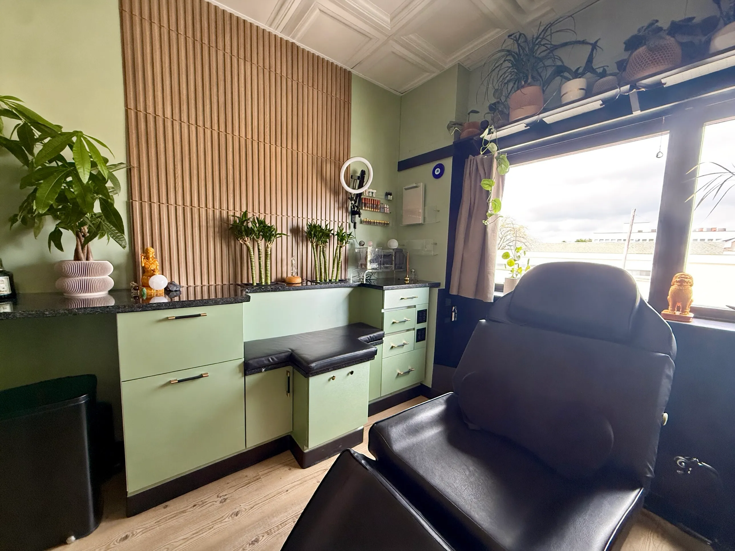 The DCPC studio — sage green cabinets, a slatted wood wall, plants along the window, the black treatment chair