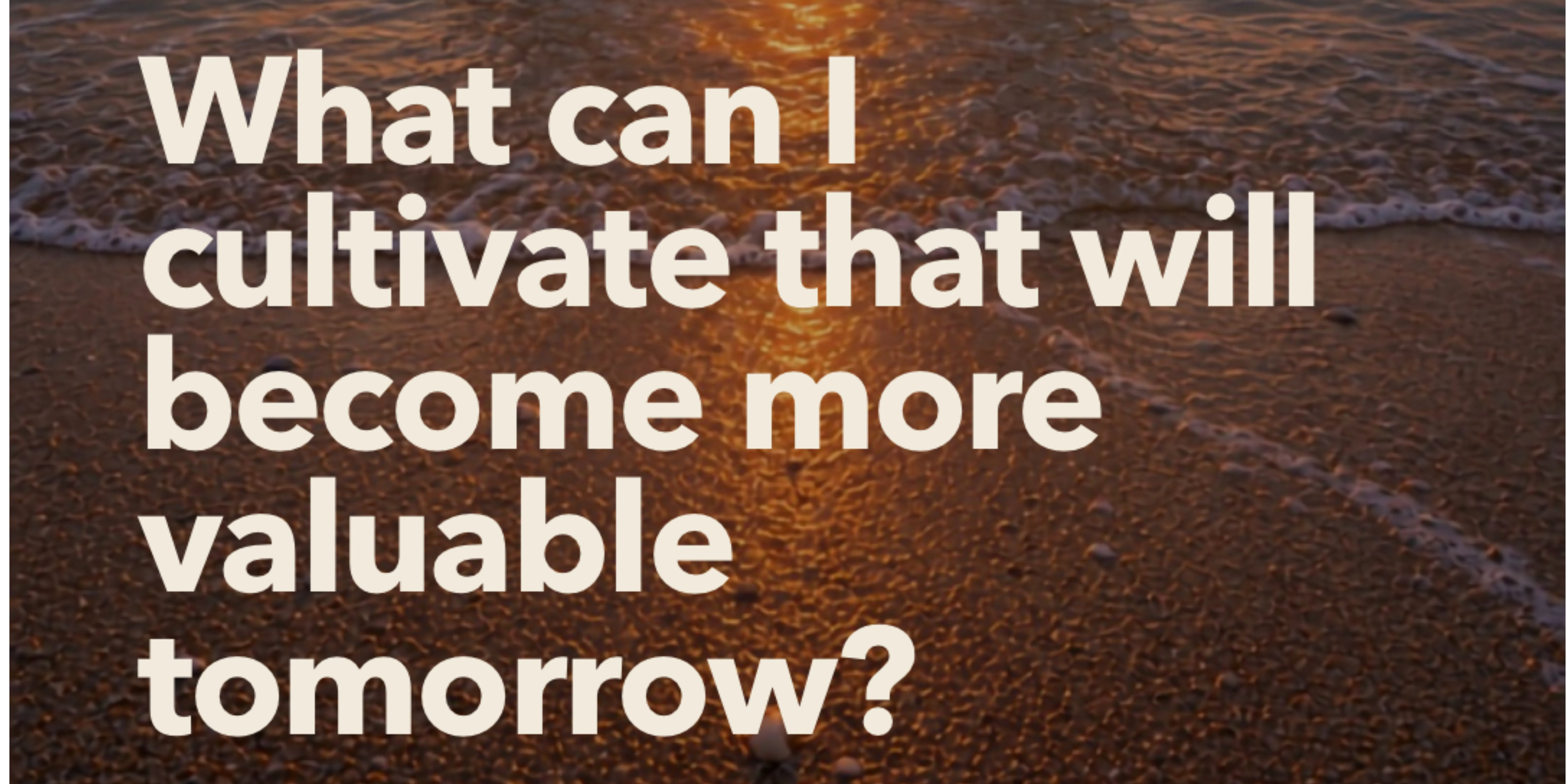 A Velea prompt over sunlit water on sand: "What can I cultivate that will become more valuable tomorrow?"